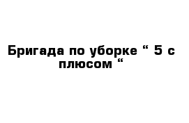 Бригада по уборке “ 5 с плюсом “